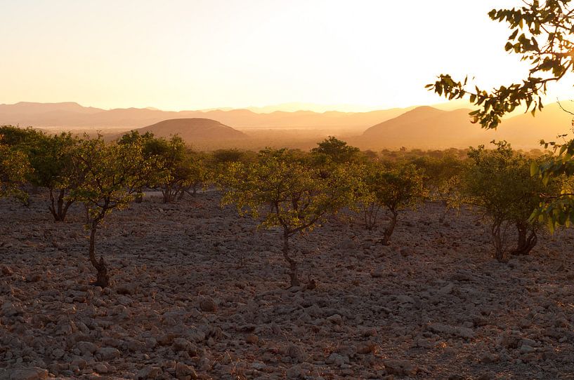 Abendlicht in Namibia von Damien Franscoise