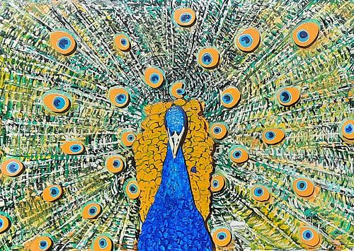 Pauw pronkt zijn veren pracht