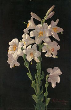 Easter Lily, George Cochran Lambdin