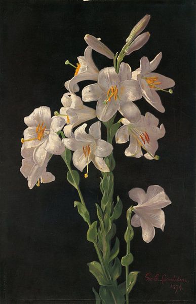 Easter Lily, George Cochran Lambdin by Masterful Masters