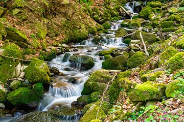 Kleiner Bach im Schwarzwald von Photo Art Thomas Klee