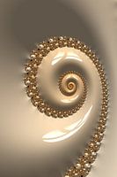 Fractal Muschel