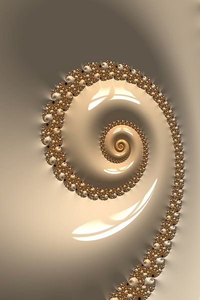 Fractal Muschel van Markus Wegner