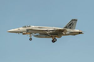 Eine Boeing F/A-18E Super Hornet der VFA-105 