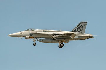 A Boeing F/A-18E Super Hornet from VFA-105 