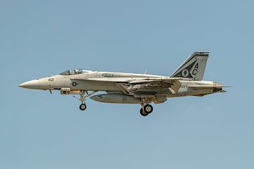 Boeing F/A-18E Super Hornet van VFA-105 Gunslingers. van Jaap van den Berg