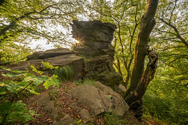 Ardey Mountains, Ruhr region, North Rhine-Westphalia, Germany by Alexander Ludwig