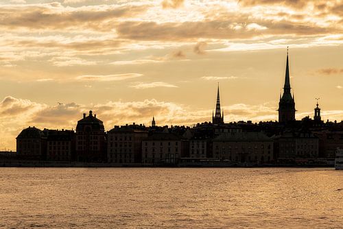 Avondstemming Stockholm - Zweed