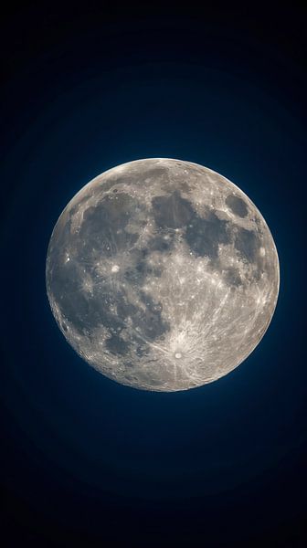 Silver Moon by Maarten Knops