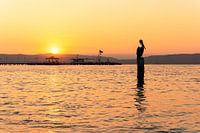 Pelikaan bij zonsondergang in Paracas, Peru