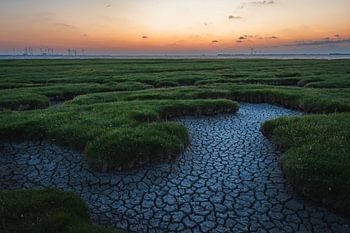 Droogte bij Punt van Reide