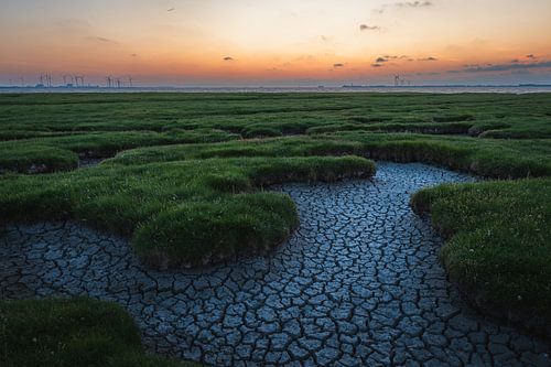 Drought at Point of Reide