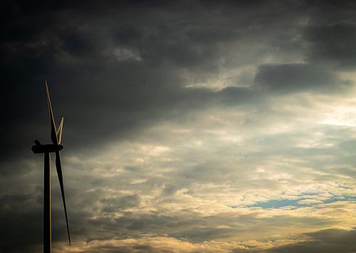 Windmühle im Abendlicht