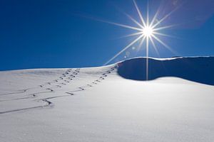 Trois pistes dans la neige sur Christa Kramer
