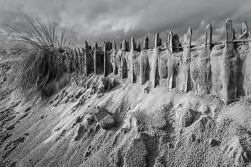 tempête de sable dans les dunes