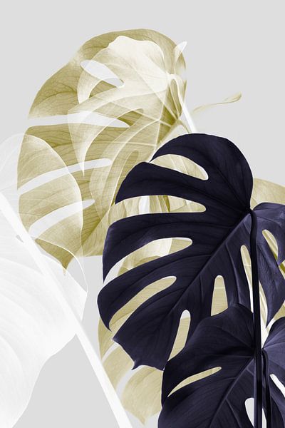 Monstera Kreativ 06 von Pictufy Studio III