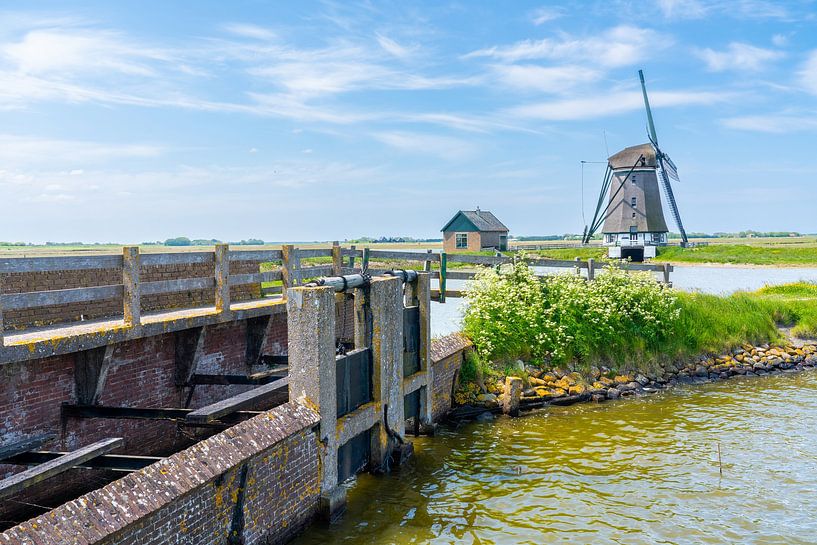 Windmill het noorden is a mill in Texel by Marcel Derweduwen