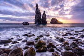 Ilhéus da Ribeira da Janela by Sérgio Domingues Photography