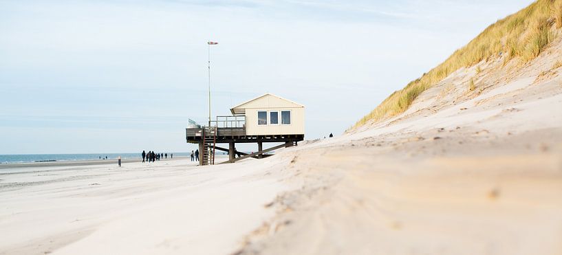 Ameland by Shoots by Laura