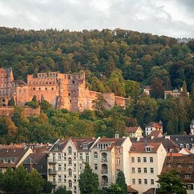 Château de Heidelberg sur Jan Fritz