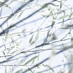 Frische Luft
