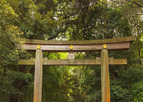 Yoyogipark - Tokio (Japan)