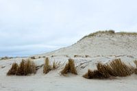 Dunes, (Hargen aan Zee) Camperduin Nord - Hollande