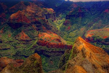 Waimea Canyon in Hawaii van Antwan Janssen