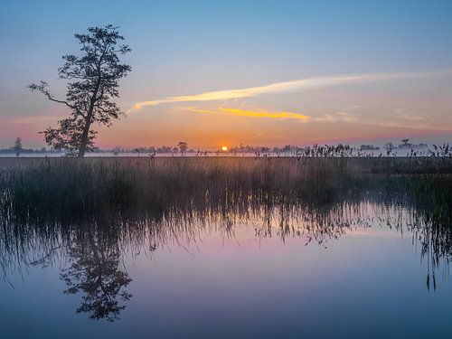 Sfeervolle ochtend in de Grootegaster Molenpolder