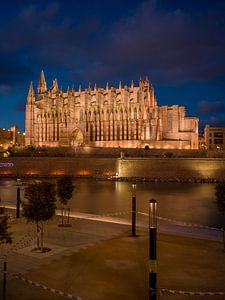Die Kathedrale von Palma de Mallorca bei Nacht