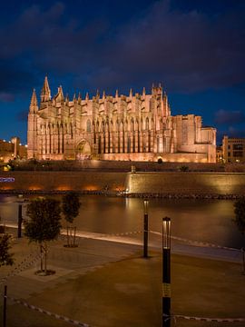 De kathedraal van Palma de Mallorca bij nacht van t.ART