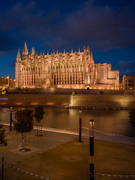 The cathedral of Palma de Mallorca by night by t.ART
