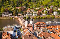 Old town, Old bridge with bridge gate, excursion ship on the Neckar river by Werner Dieterich thumbnail