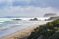Kangoeroe eiland