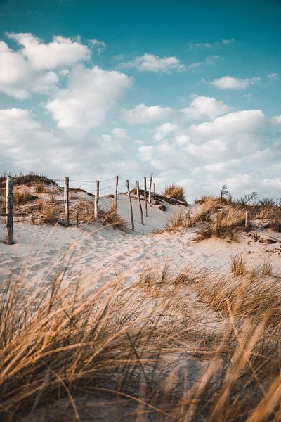 Dutch Dunes by Rick Ouwehand