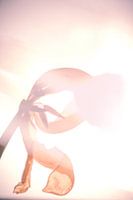 the sun and the flower