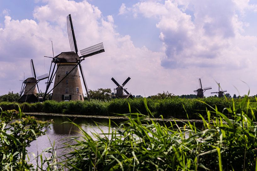 Windmills in Holland by Brian Morgan