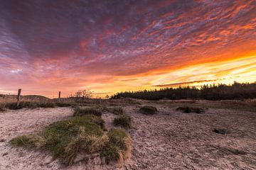 Les dunes de Petten sous un ciel de nuages rouge vif sur Bram Lubbers