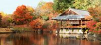 Jardin japonais de Hasselt