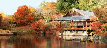 Japanischer Garten Hasselt