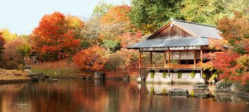 Japanse Tuin Hasselt van Bart Ceuppens