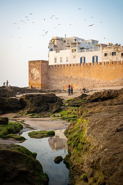 Möwen fliegen im Abendlicht über Essaouira von Teun Janssen