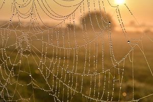 Märchenhafter Sonnenaufgang im Landschaft. von Shutterbalance