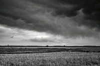 Moorland after a downpour