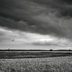 Dwingelderveld na stortbui van Jasper van de Gronde