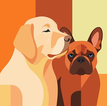 Tangerine Twist : portrait de chien moderne et minimaliste