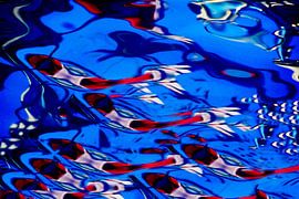 FISH SWIMMING 2 by Miroslav Ptacek