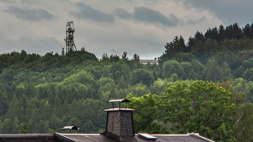 Wald Blumen Feld Landschaft Erzgebirge Pilze von Johnny Flash