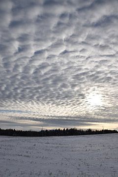 Wolken in een winterhemel van Claude Laprise