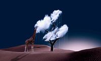 The taste of the cloud